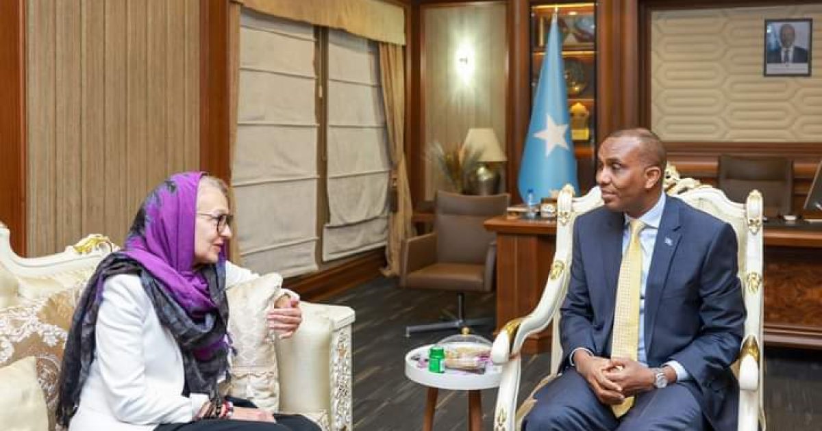 Ra’iisul Wasaare Xamsa oo qaabilay Danjiraha Midowga Yurub ee Soomaaliya “SAWIRRO”