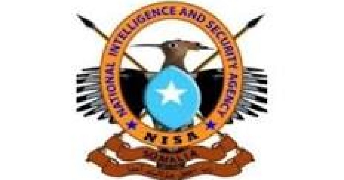 NISA oo gacanta ku dhigtay in ka badan 10 xubnood oo si basaasnimo ah ugu dhex jiray hay’adaha dowladda