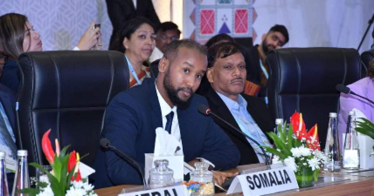 Deputy Minister of Health attends the G20 summit