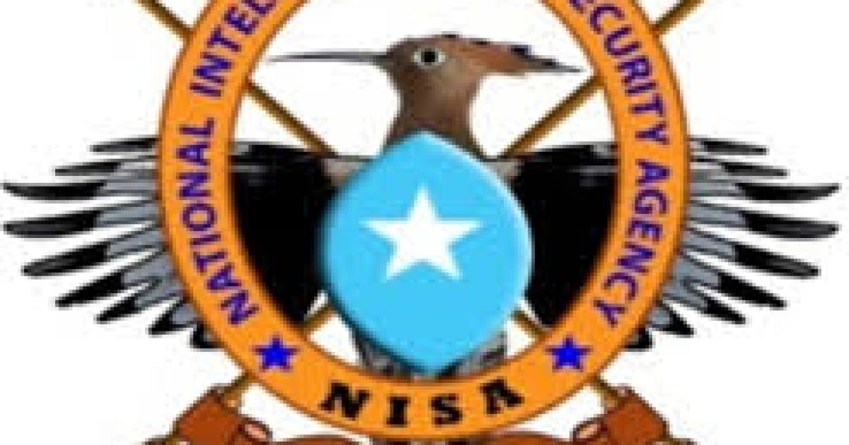 Hay’adda NISA oo shaacisay Horjoogeyaal ka mid ahaa Khawaarijta oo lagu dilay hawgalladii ugu dambeeyey