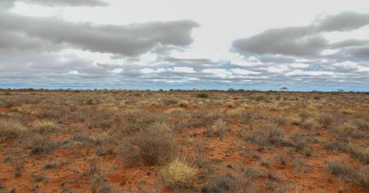 Dowladda oo ciidan kala dhex dhigtay beelo ku dagaalamay Shabeelaha Dhexe