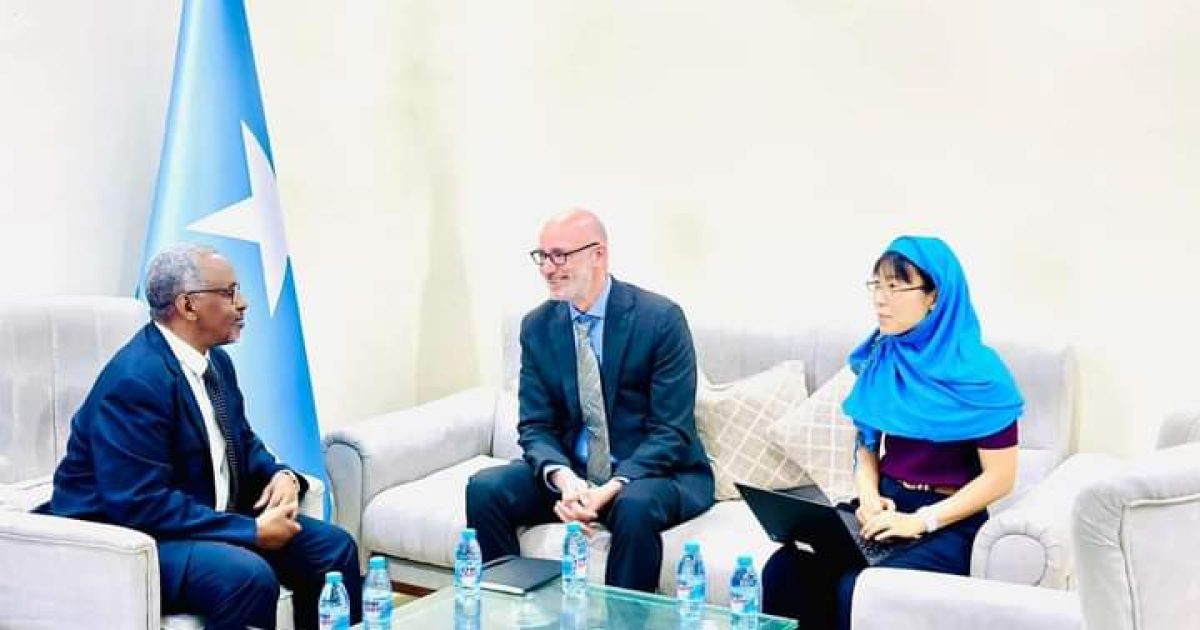 Minister of Petroleum Meets UN Deputy Envoy for Somalia