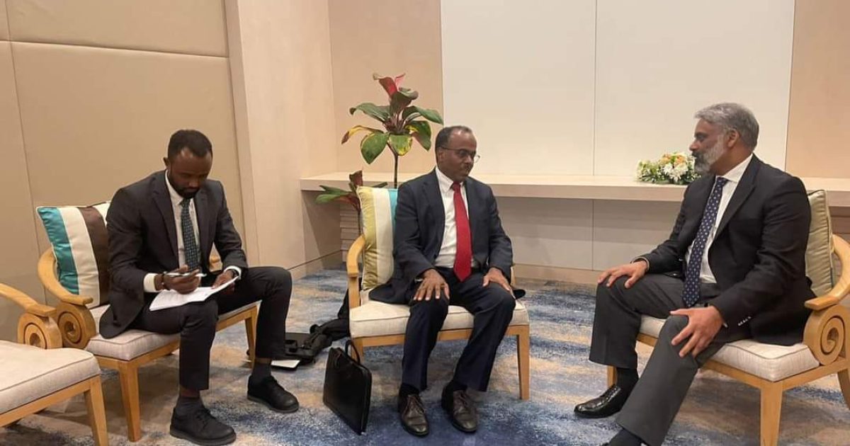 Somalia participates in the Third Ministerial Conference on Maritime Security and Safety in the Western Indian Ocean in Balaclava 