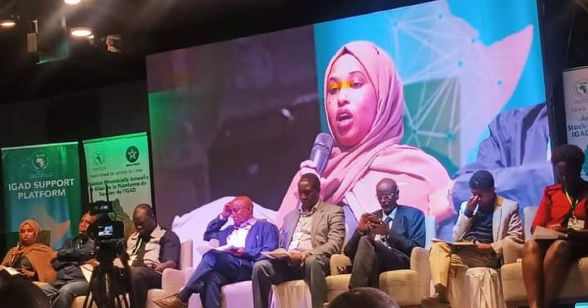 Shirka Wadatashiga adeegyada caafimaadka oo lagu qabtay Addis Ababa