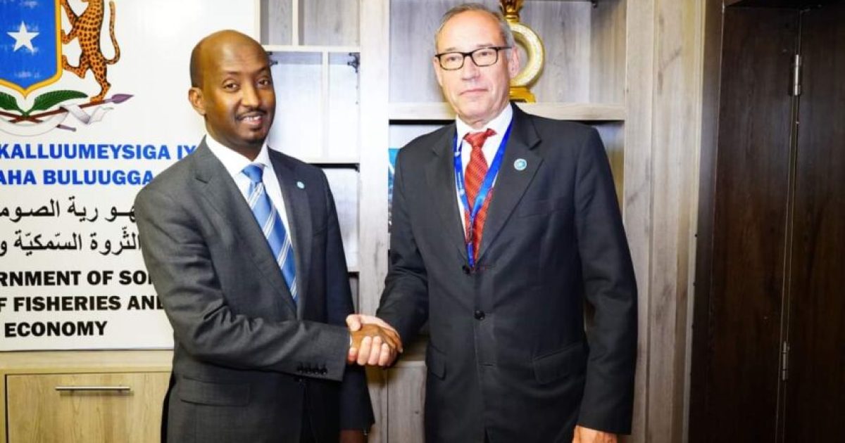 Wasiirka Kalluumeysiga XFS oo la kulmay Madaxa howlgalka Midowga Yurub ee Soomaaliya