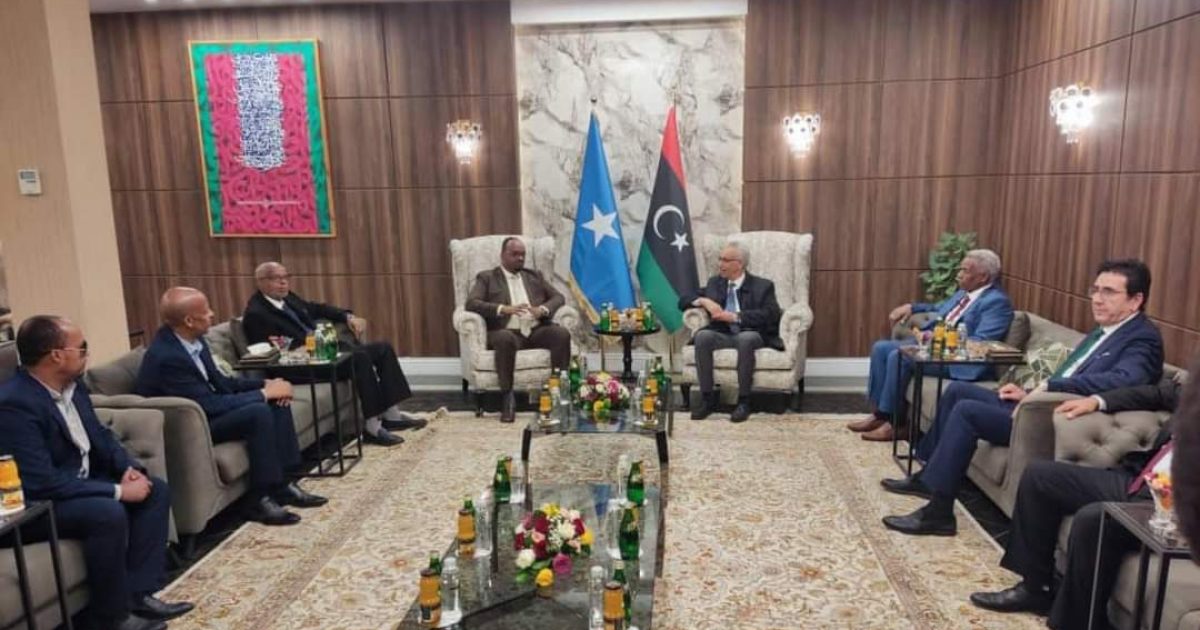 Wafdi uu hoggaaminayo Wasiirka Howlaha Guud XFS oo gaaray dalka Liibiya