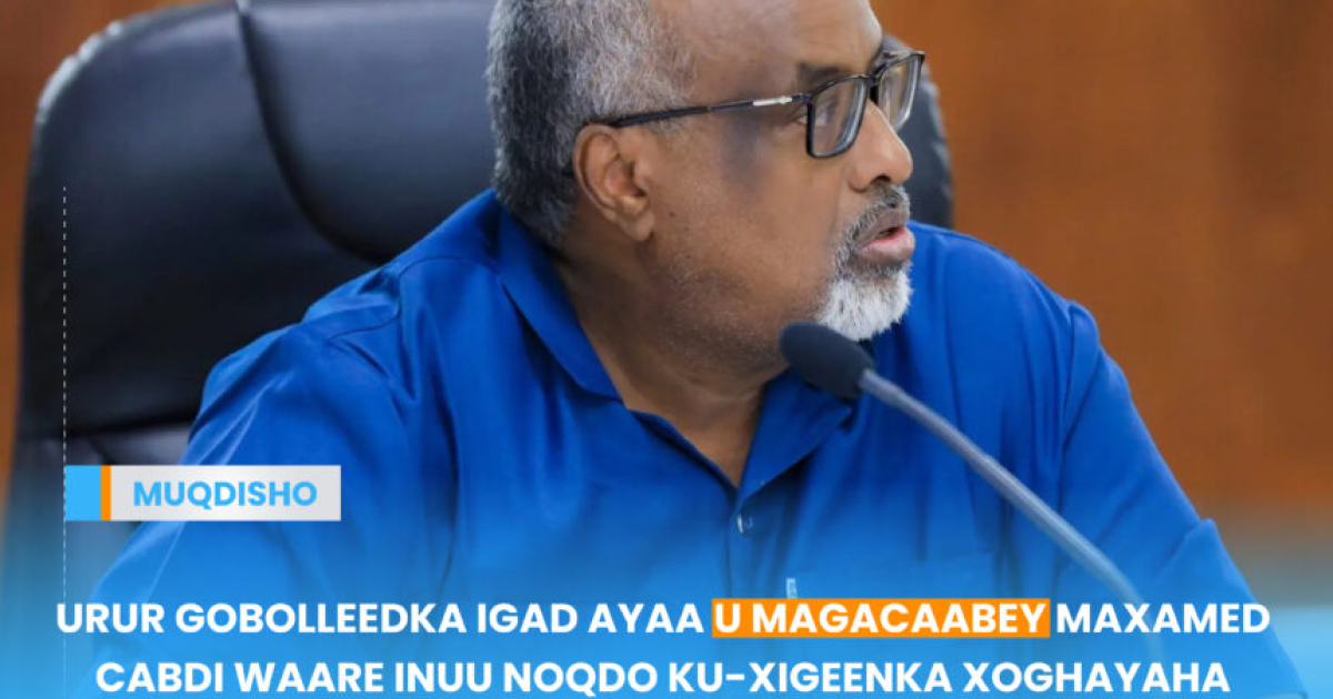 Maxamed Cabdi Waare oo loo magacaabay ku-xigeenka xoghayaha guud ee IGAD