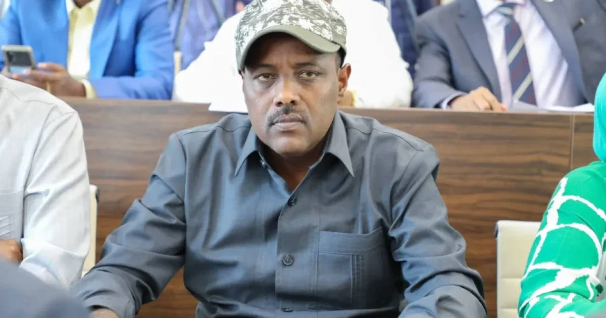 Xildhibaan Xaadoole oo ka hadlay guulaha waaweyn oo ay dowladda soo hoysayy