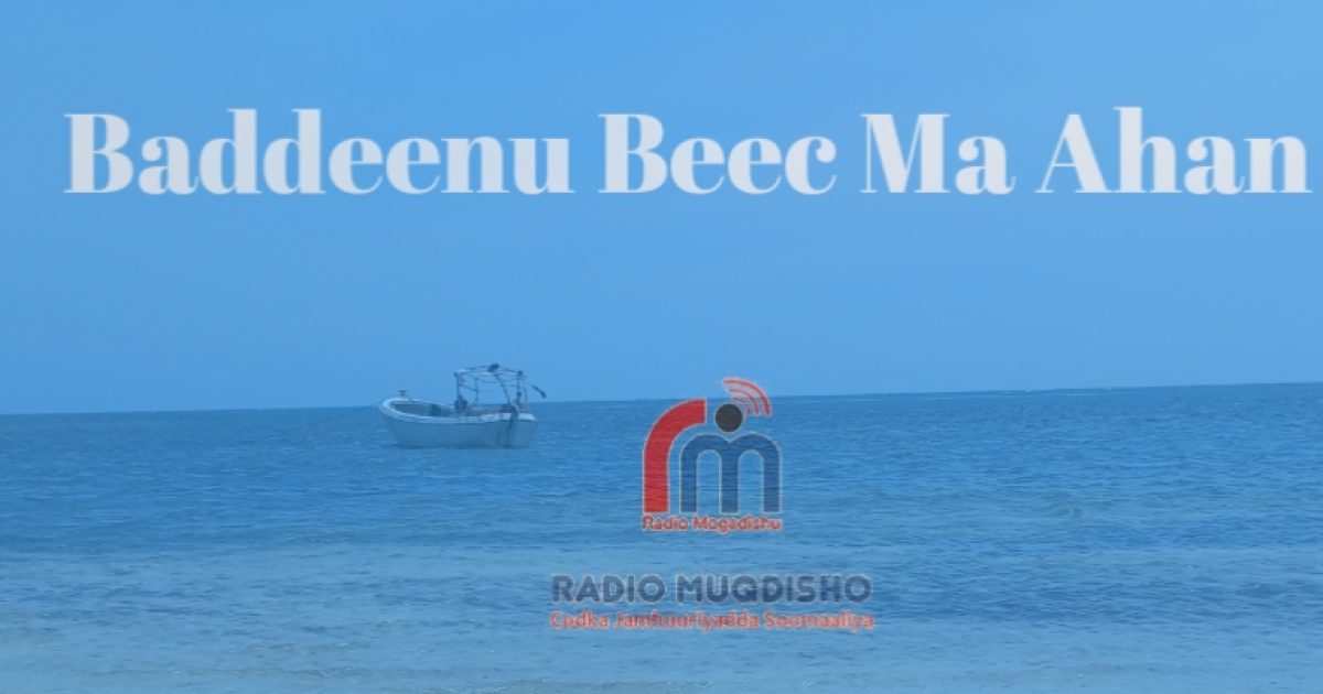 Bannaan baxyo Waaweyn oo ka dhicidiino Muqdisho