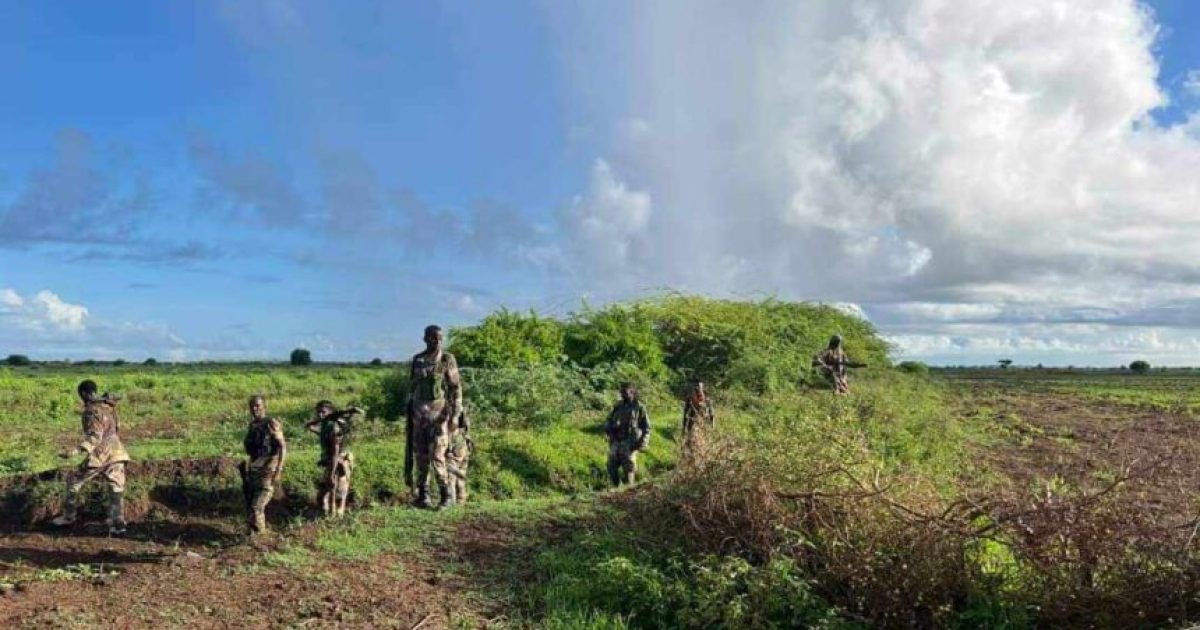 Ciidanka Xoogga Dalka oo howlgallo ka fuliyay Shabeellada hoose