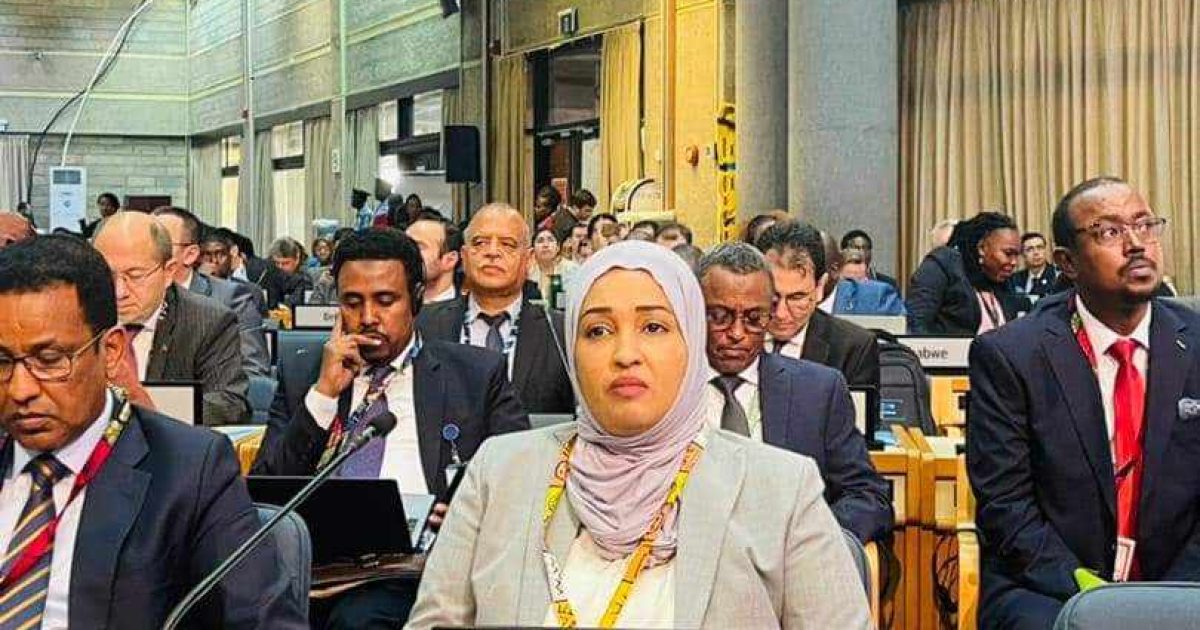 Madaxweyne Xasan Sheekh oo ka qeybgalaya Shirweynaha 6-aad ee Ururka QM u qaabilsan Deegaanka