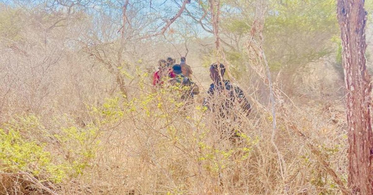 Ciidamada Xoogga Dalka oo howlgallo ka dhan ah Khawaarijta ka fuliyay Galgaduud