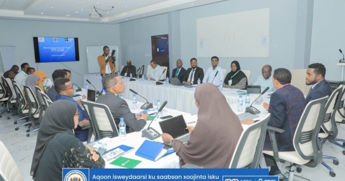 Wasaaradda Kalluumeysiga oo Muqdisho ka daahfurtay aqoon is-weydaarsi ku saabsan isku dubaridka dhaqaalaha baluugga