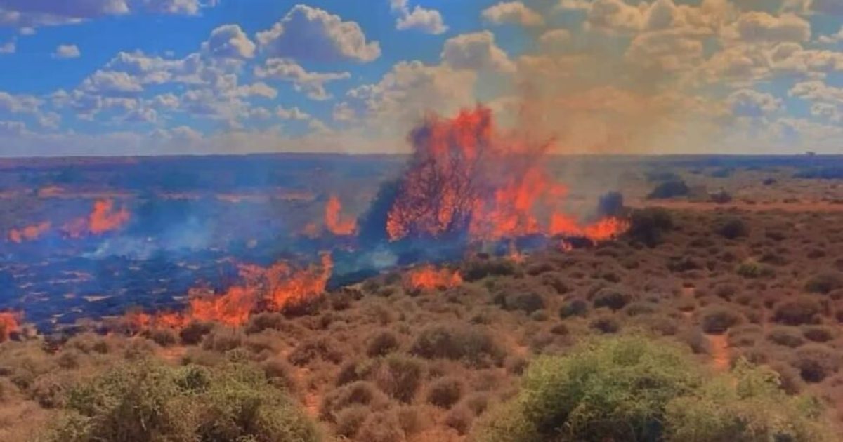 Dab khasaare geystay oo ka kacay dooxada deegaanka Dalsan