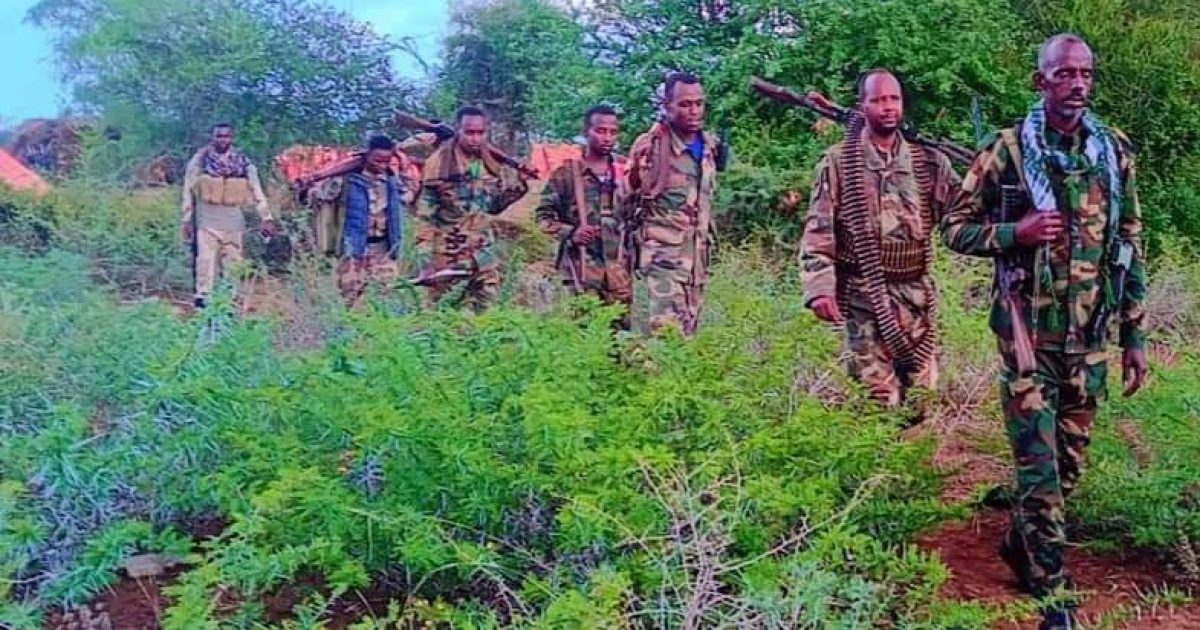 Ciidamada Xoogga oo howlgallo ka fuliyay deegaanno ka tirsan Baay