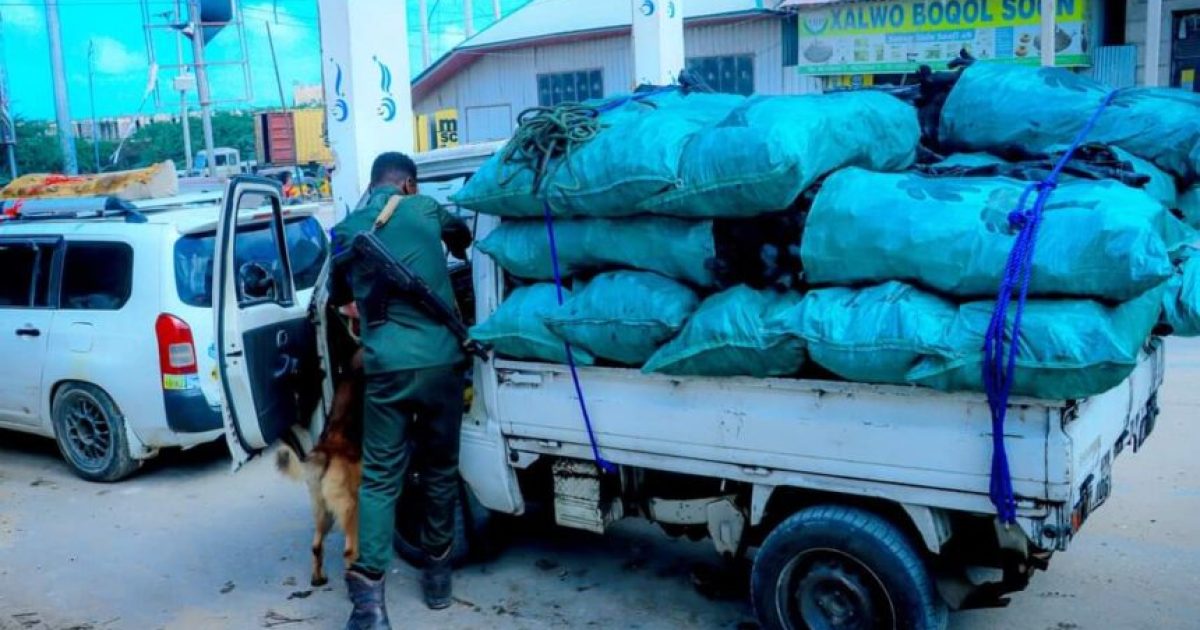 Ciidamada Booliska oo xoojiyay sugidda amniga Caasimada