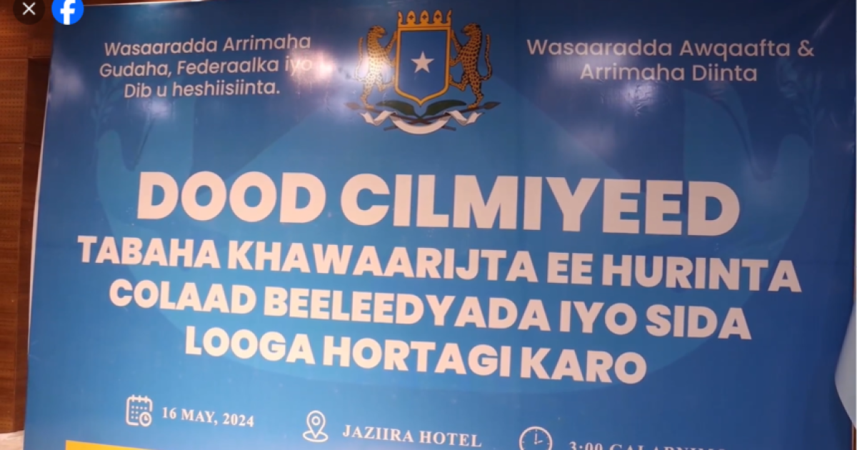 Wasiiro ka tirsan XFS oo ku baaqay in laga hortego tabaha khawaarijta ee hurinta colaadaha