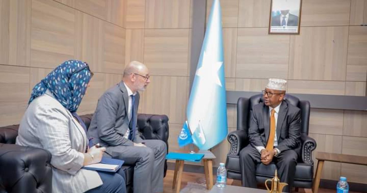 Somali FM Discusses Cooperative Initiatives with UN DSRSG