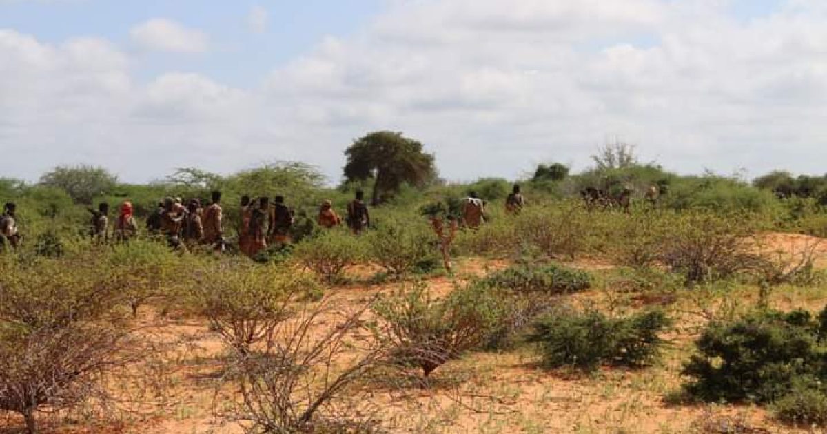 Ciidanka Xoogga Dalka oo howlgal ay sameyeen ku dileeyn 7 xubnood oo ka tirsanaa Khawaarijta