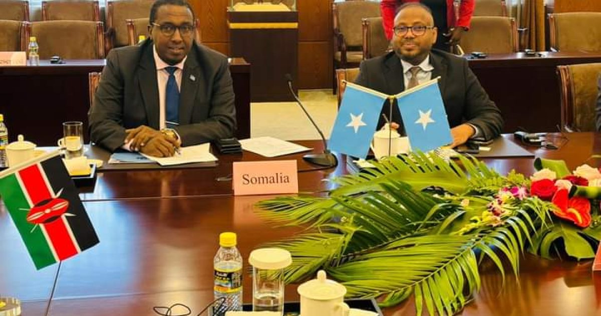 Somalia Denounces Ethiopia’s Interference at Horn of Africa Peace Conference