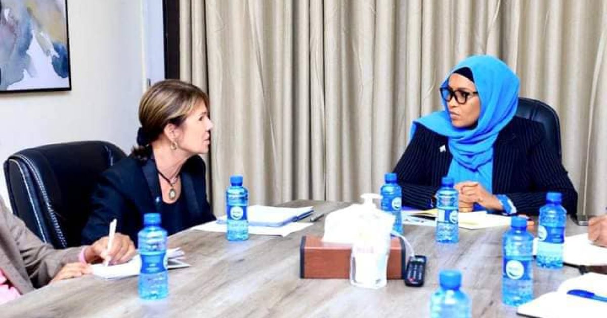 Wasiirka Gaadiidka Soomaaliya oo kulan la qaadatay Safiirka Midowga Yurub