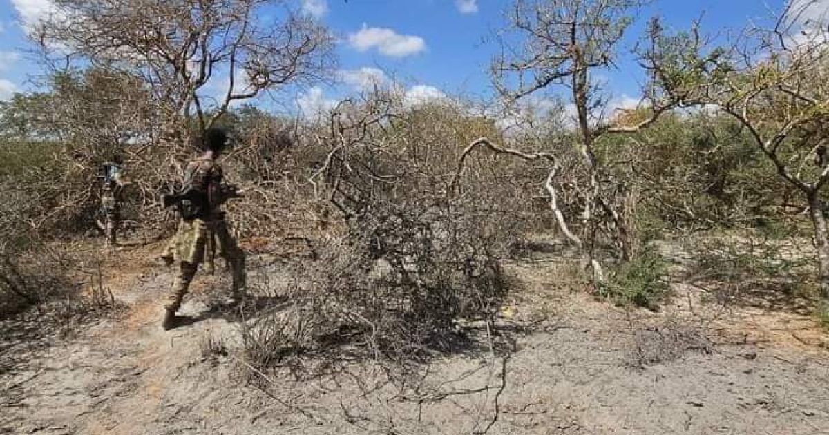 Ciidanka Xoogga Dalka oo howlo sifeeyn ah ka sameeyay Degaanka Baraag Sheekh Caamir