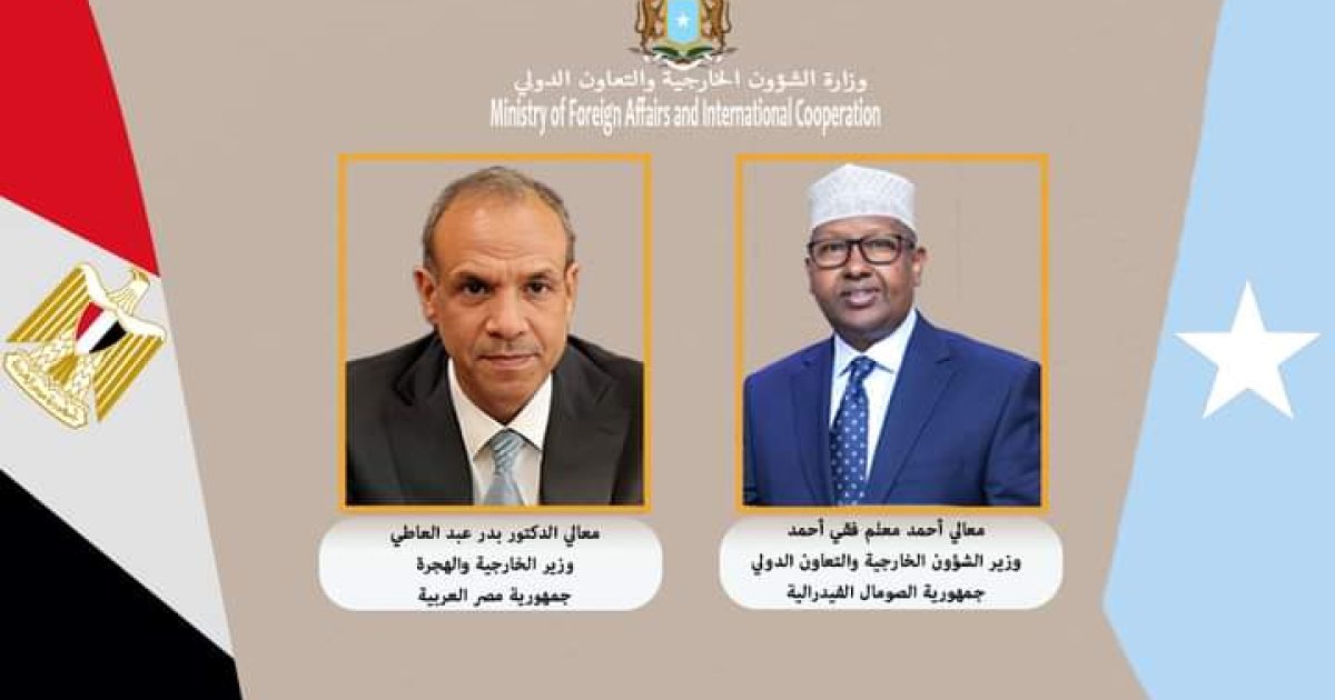 Somali Foreign Minister congratulates his new Egyptian counterpart.
