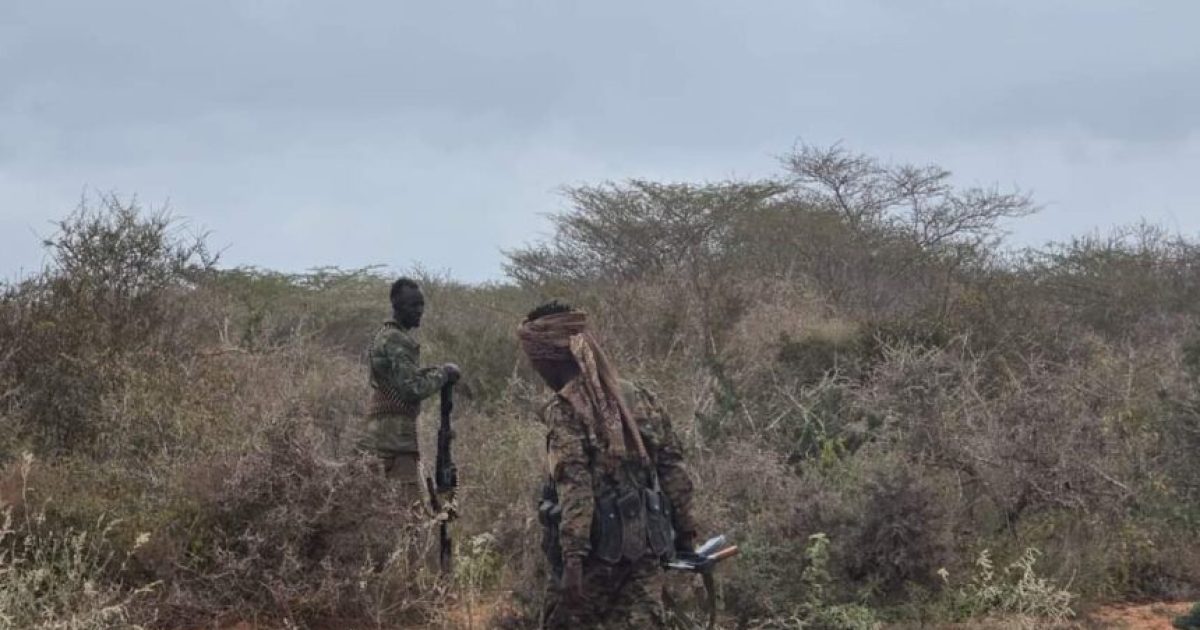 Ciidanka Xoogga oo fashiliyay weerar ay khawaarijtu Ku dooneysay in ay ku qaadaan deegaan hoostaga Afmadoow