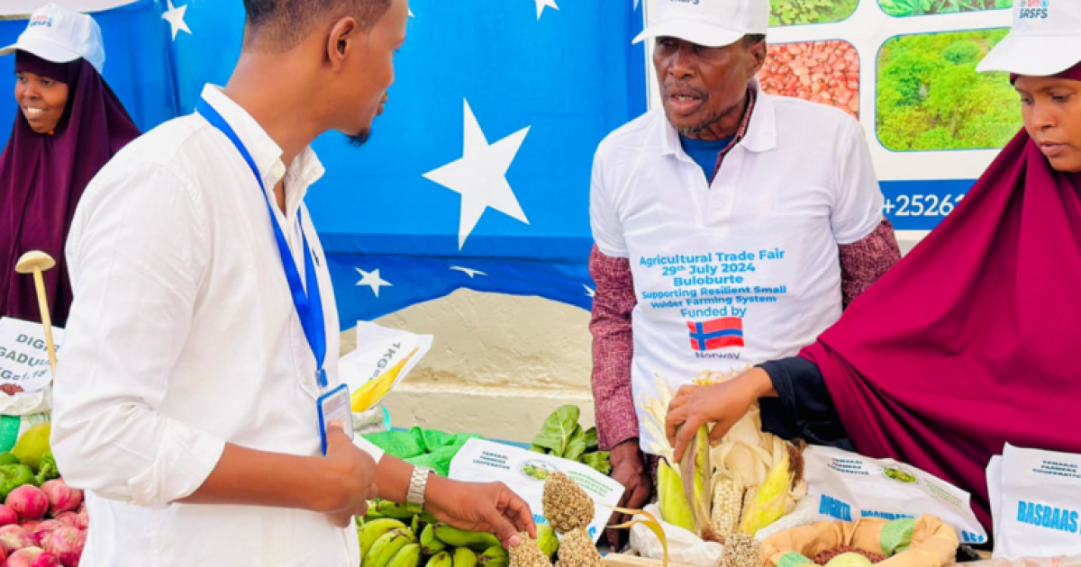 Bandhiga dalaga Beeraha oo lagu qabtay degamada Buulaburte 