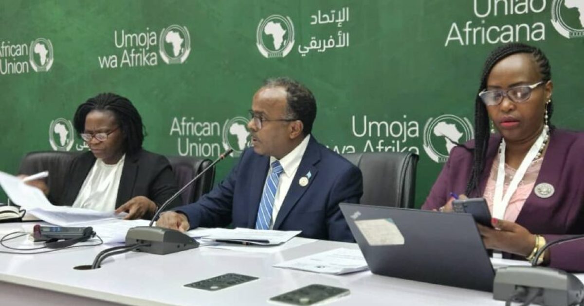 Soomaaliya oo Ka qayb gashay shirweynaha 6-aad golaha fulinta Midowga Afrika