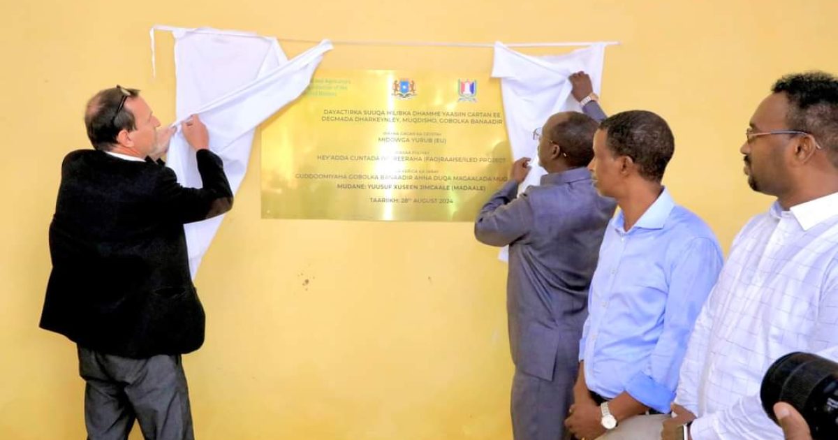 Duqa Muqdisho oo xaraga ka jaray kawaanka Hilibka Dharkeenley 