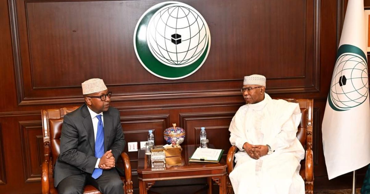 Somali FM Discusses Collaborative Approaches with OIC Secretary-General
