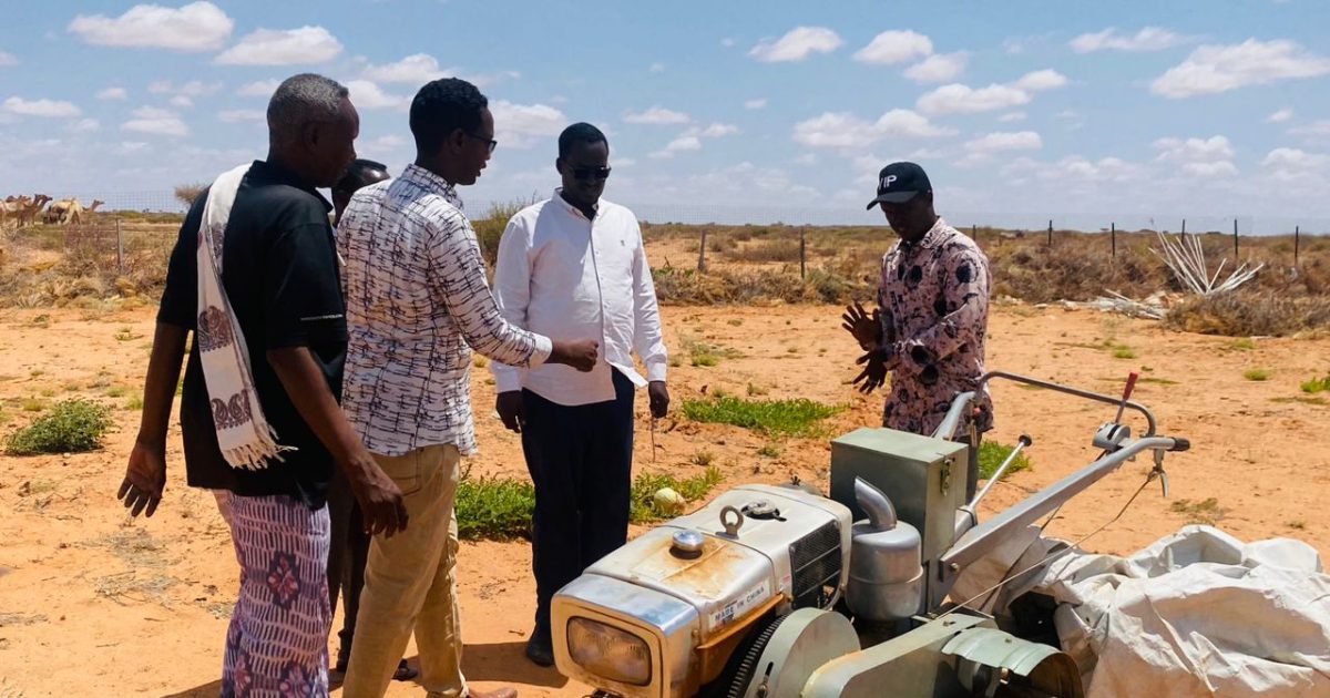 Mas’uuliyiin Ka tirsan Wasaarada Beeraha Galmudug oo kormeeray wax soo saarka Beeraha