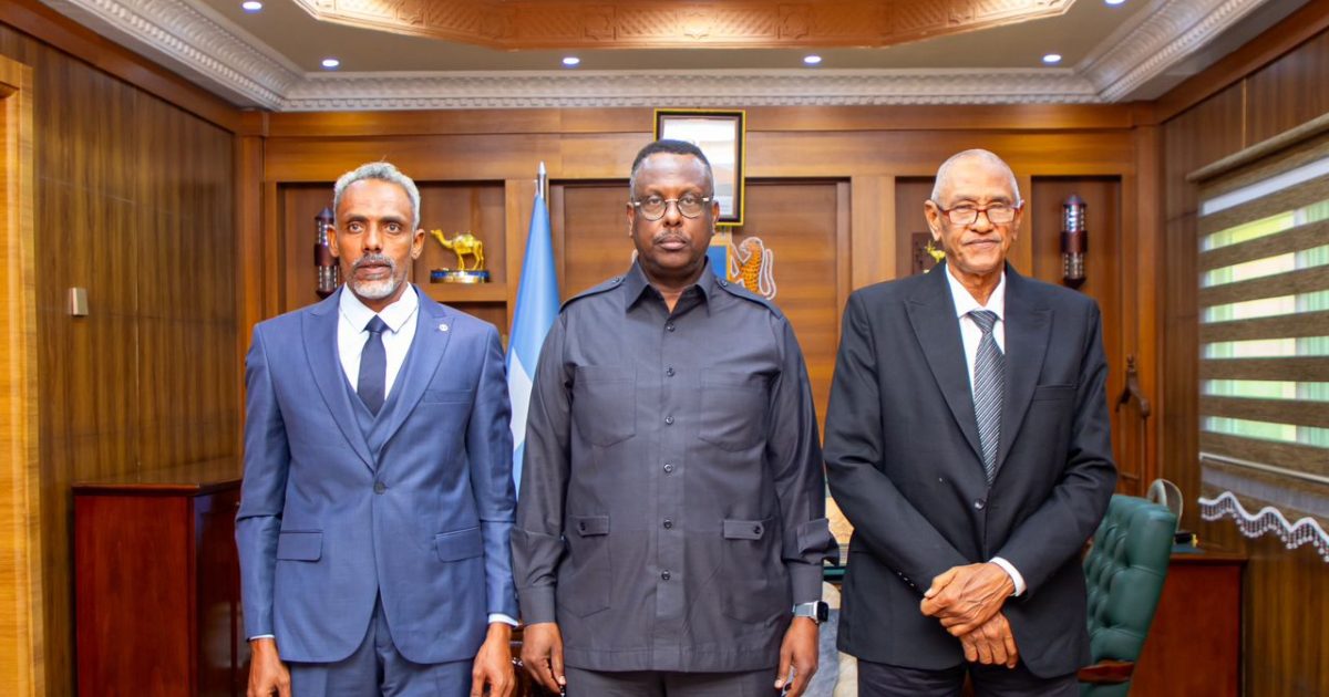 Wasiirka Cadaaladda oo qaabilay quburo ka socotay Suudaan