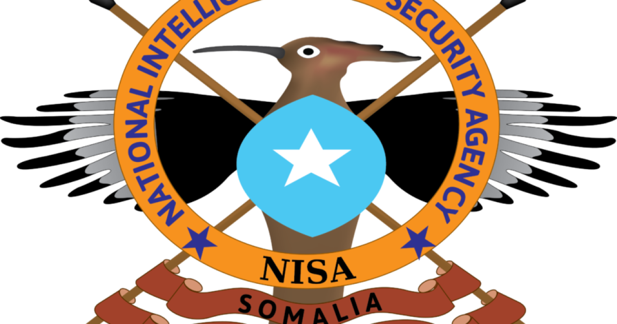 Ciidanka NISA iyo kuwa Xoogga Dalka oo howlgal qorsheysan ku dilay 4 dhagarqabe oo khawaarij ah