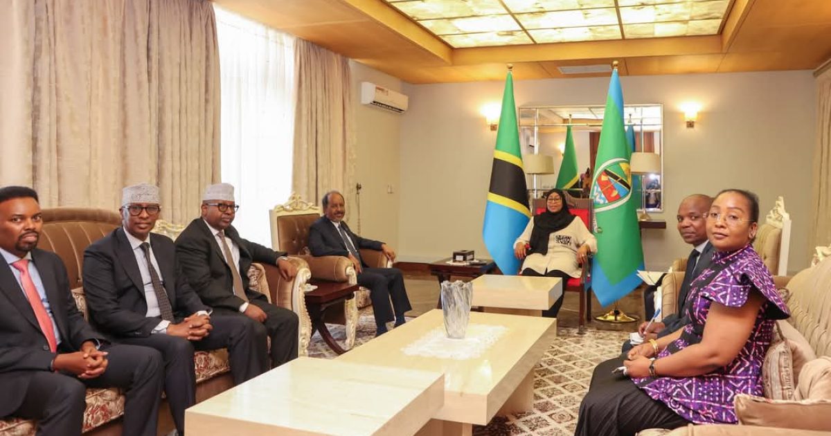 Madaxweynaha JFS oo kulan doceedyo la qaatay Madaxda Shirka Tamarta Afrika