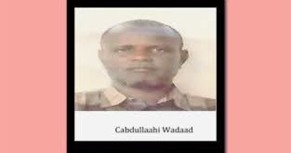 Hay’adda NISA oo ku raad joogto horjooge ka tirsan Khawaarijta