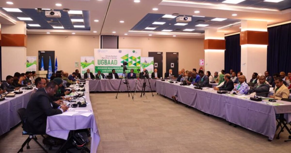 Ra’iisul Wasaare ku xigeenka oo daah furay Mashruuca Ugbaad oo lagu horumarinayo beeraha