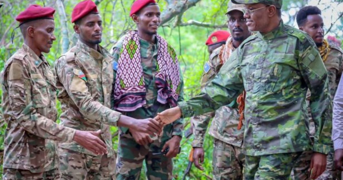 Madaxweyne Laftagareen oo booqasho ku tagay furimaha hore ee dagaalka ee degaannada maamulka Koonfur Galbeed