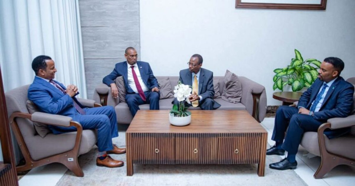 Wafdi uu hoggaaminayo Wasiirka Arrimaha Dibadda oo gaaray dalka Tanzania