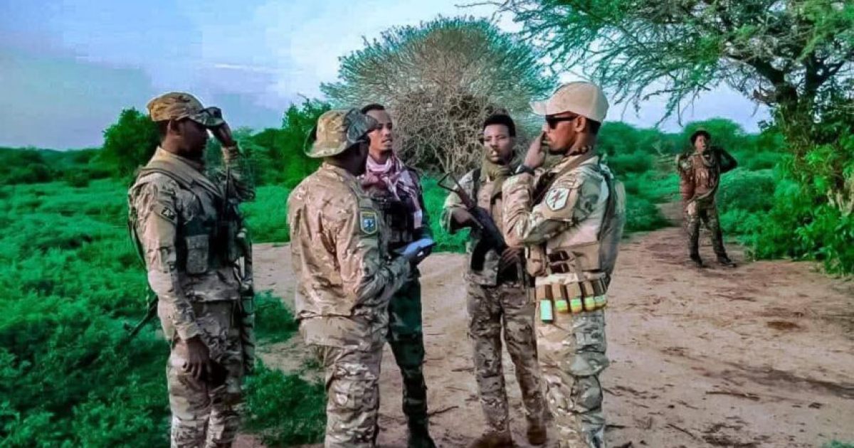 Ciidanka Xoogga oo howlgal qorsheysan ka fuliyay Gobolka Jubbadda Hoose