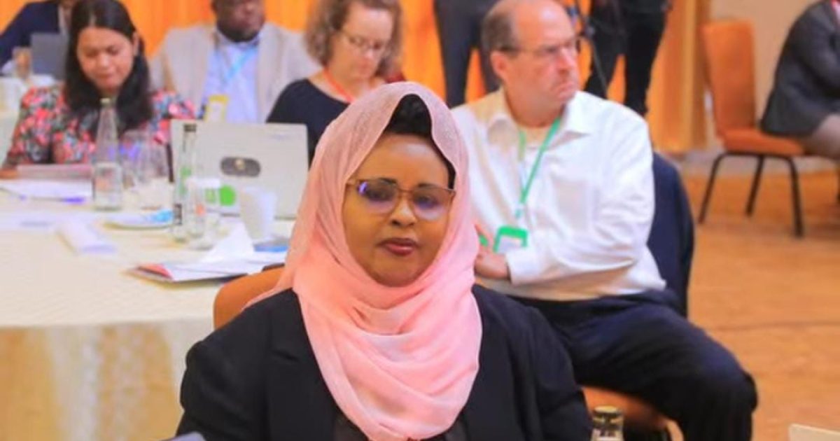 wasiiru Dowlaha Caafimaadka XFS oo ka qeyb gashay Shir caalami ah