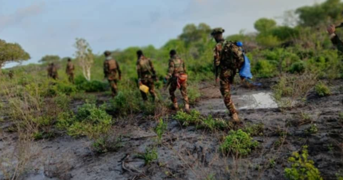 Khawaarij farabadan oo lagu dilay howlgal ka dhacay Jubbada Hoose