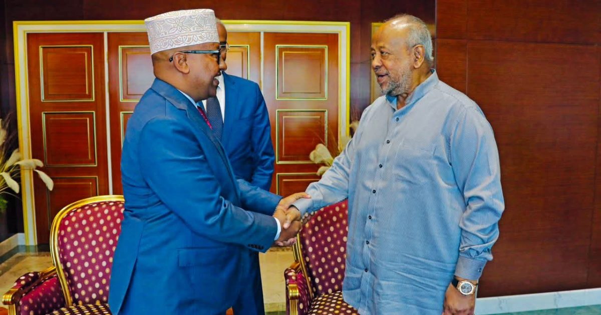 Wasiirka Gaashaandhigga XFS oo la kulmay Madaxweynaha Djibouti
