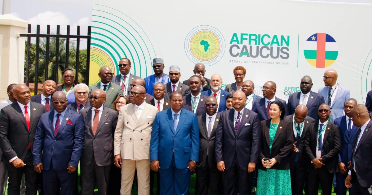 Wasiir ku-xigeenka Maaliyadda XFS oo shir muhiim ah uga qeybgalay dalka Central Africa Republic