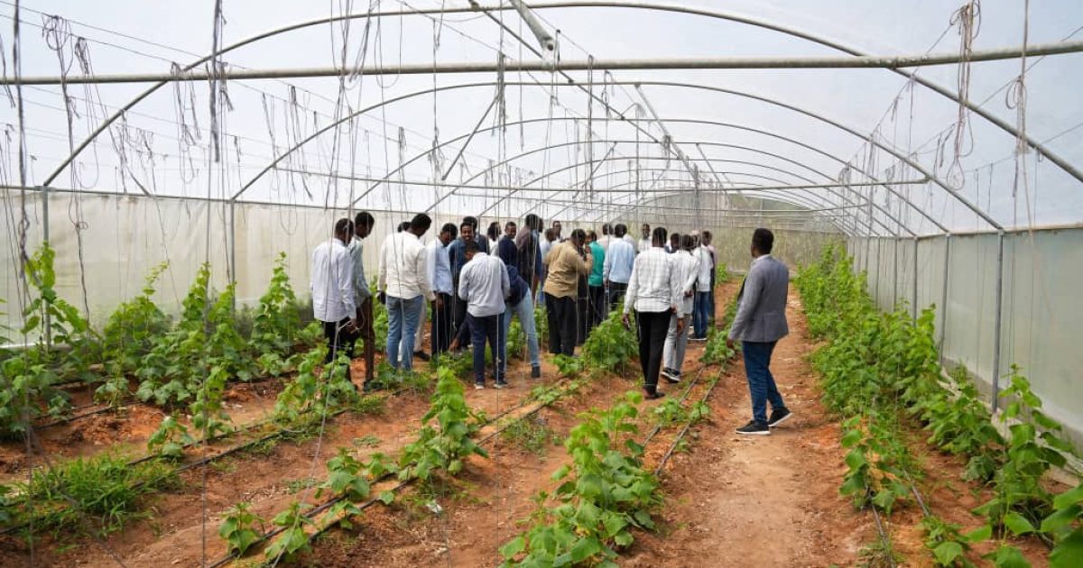 Arday booqasho ku tegtay beero ku yaala xarunta Wasaaradda Beeraha