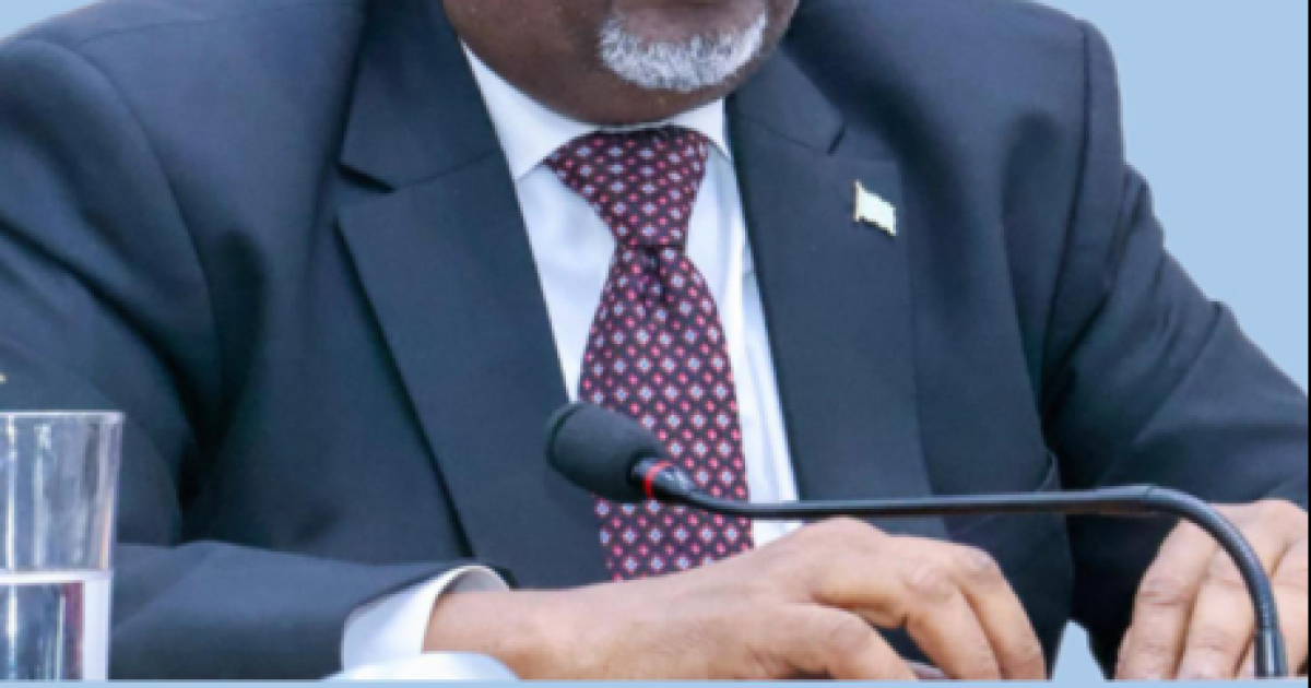 Guddoomiye Aadan madoobe oo diray hambalyo ku aaddan 1-da Luulyo