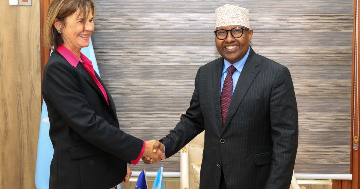 Wasiirka Gaashaandhigga XFS oo qaabilay wafdiga Safiirka Midowga Yurub