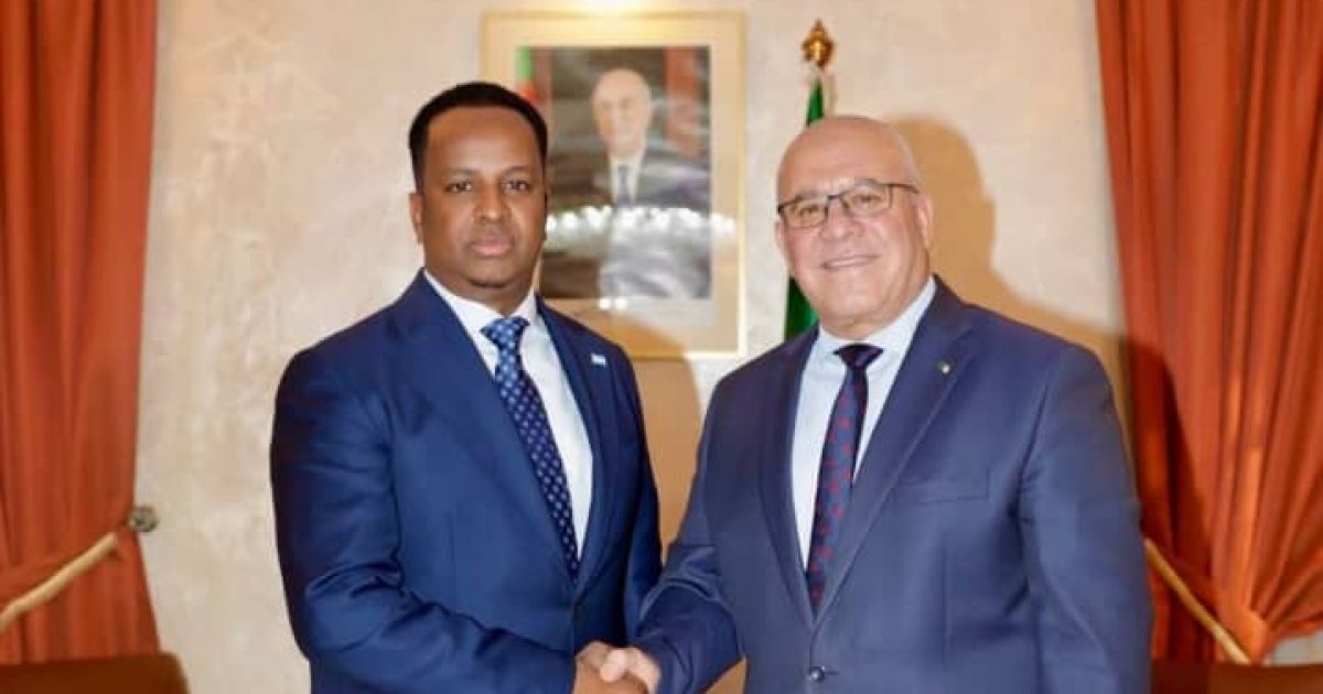 Somali FM Meets Algerian Agriculture Minister to Boost Farming Cooperation