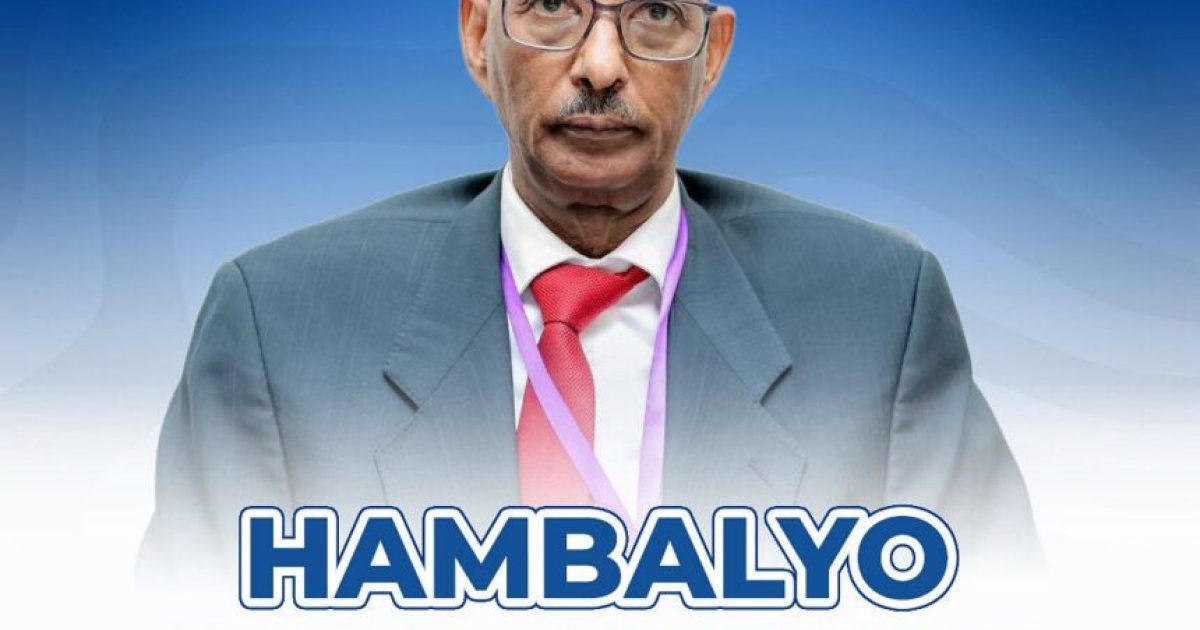 Madaxweynaha JFS oo hambalyo u diray guddoomiyaha Baarlamaanka DGWB